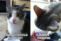 я лишь кот, который засовывает голову в стаканчик