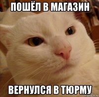 пошёл в магазин вернулся в тюрму