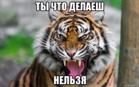 ты что делаеш нельзя