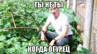 ты не ты когда огурец