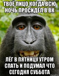 твоё лицо когда всю ночь просидел в вк лёг в пятницу утром спать и подумал что сегодня суббота