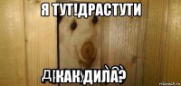 я тут!драстути как дила?