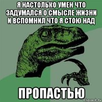 я настолько умен что задумался о смысле жизни и вспомнил что я стою над пропастью