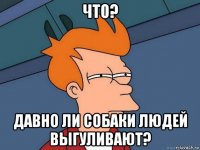 что? давно ли собаки людей выгуливают?