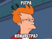 рутра или уретра?