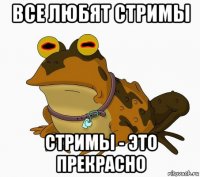 все любят стримы стримы - это прекрасно