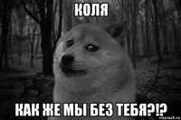 коля как же мы без тебя?!?