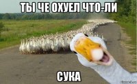 ты че охуел что-ли сука