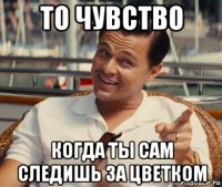 то чувство когда ты сам следишь за цветком