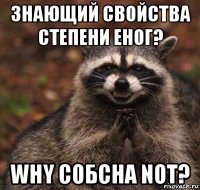 знающий свойства степени еног? why собсна not?