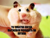 то чувство когда пытаешся походить на путина