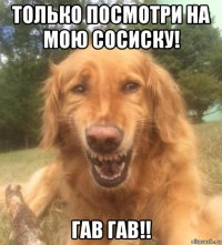 только посмотри на мою сосиску! гав гав!!