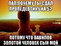 пап,почему ты сдал пропедевтику на 5? потому что вавилов золотой человек сын мой