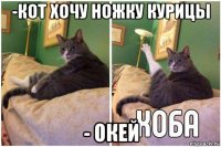 -кот хочу ножку курицы - окей