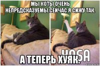 мы коты очень непредсказуемы.сейчас я сижу так. а теперь хуяк.