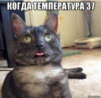 когда температура 37 