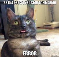 2315423634535сmb4ghm4646 error