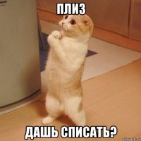 плиз дашь списать?