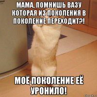 мама, помнишь вазу которая из поколения в поколение переходит?! моё поколение её уронило!