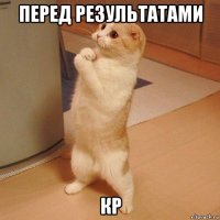 перед результатами кр