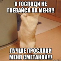 о господи не гневайся на меня!! лучше прослави меня сметаной!!!