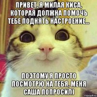 привет, я милая киса, которая должна помочь тебе поднять настроение... поэтому я просто посмотрю на тебя, меня саша попросил)