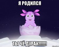 я родился ты чё дурак!!!!!!