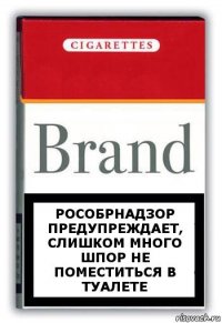 Рособрнадзор предупреждает, слишком много шпор не поместиться в туалете