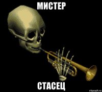 мистер стасец