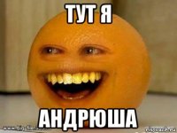 тут я андрюша