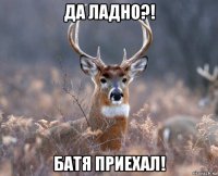 да ладно?! батя приехал!