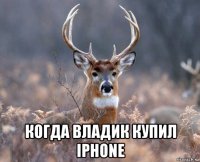  когда владик купил iphone