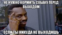 не нужно кормить собаку перед выходом если ты никуда не выходишь