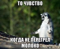 то чувство когда не перегрел молоко