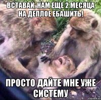 вставай, нам еще 2 месяца на деплое ебашить! просто дайте мне уже систему