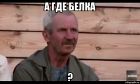 а где белка ?