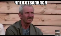 член отвалился 