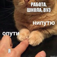 работа, школа, вуз я