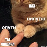 нах ты лошара