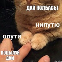 дай колбасы поцылуй дам