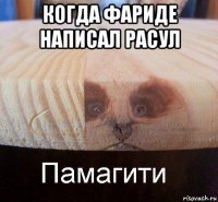 когда фариде написал расул 