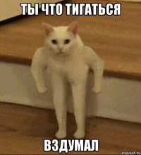 ты что тигаться вздумал