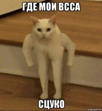 где мои всса сцуко