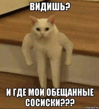 видишь? и где мои обещанные сосиски???