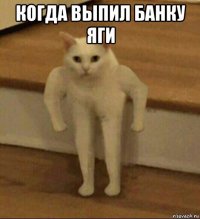 когда выпил банку яги 