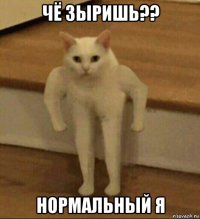 чё зыришь?? нормальный я