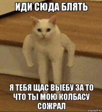 иди сюда блять я тебя щас выебу за то что ты мою колбасу сожрал