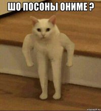 шо посоны ониме ? 