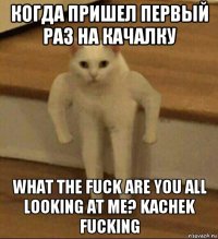 когда пришел первый раз на качалку what the fuck are you all looking at me? kachek fucking