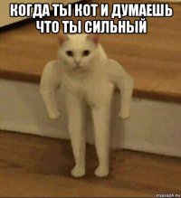 когда ты кот и думаешь что ты сильный 